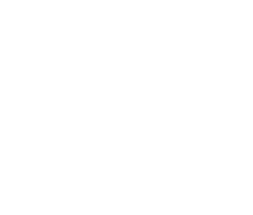 AML Logo - White